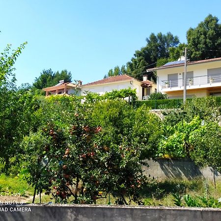 Bellavista Alojamento Arouca Exteriér fotografie